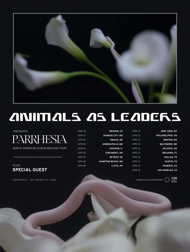 Animals as Leaders 22